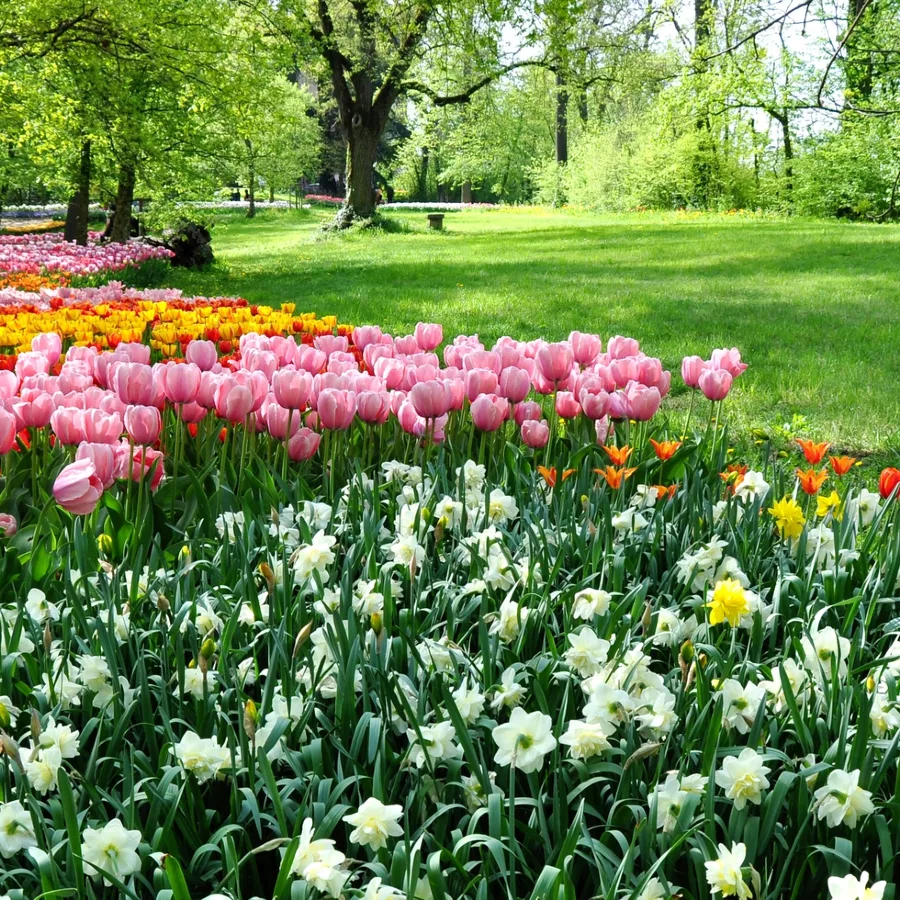Fête des Tulipes en Italie