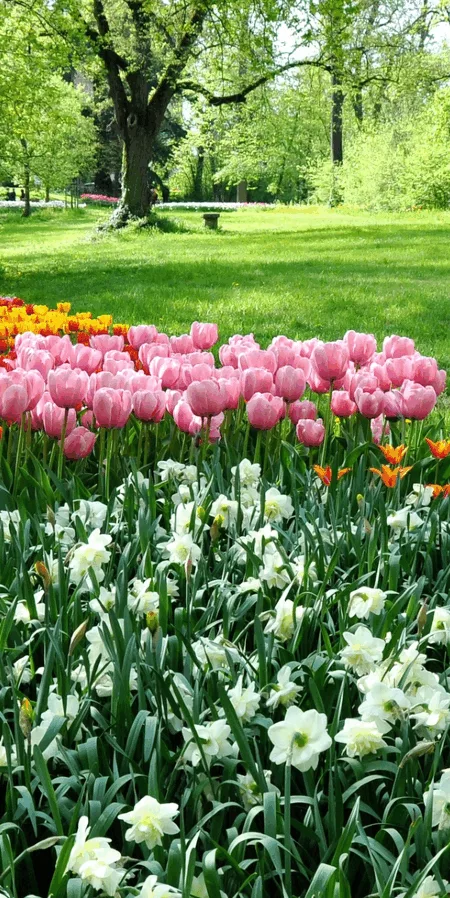 Fête des Tulipes en Italie