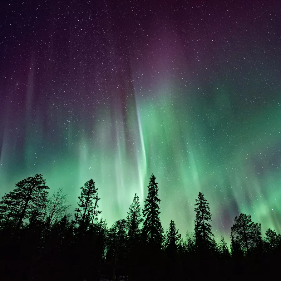 Magie hivernale en Finlande, Laponie, Norvège Cap Nord & Aurores Boréales 