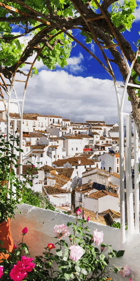 CROISIÈRE SUR LE GUADALQUIVIR