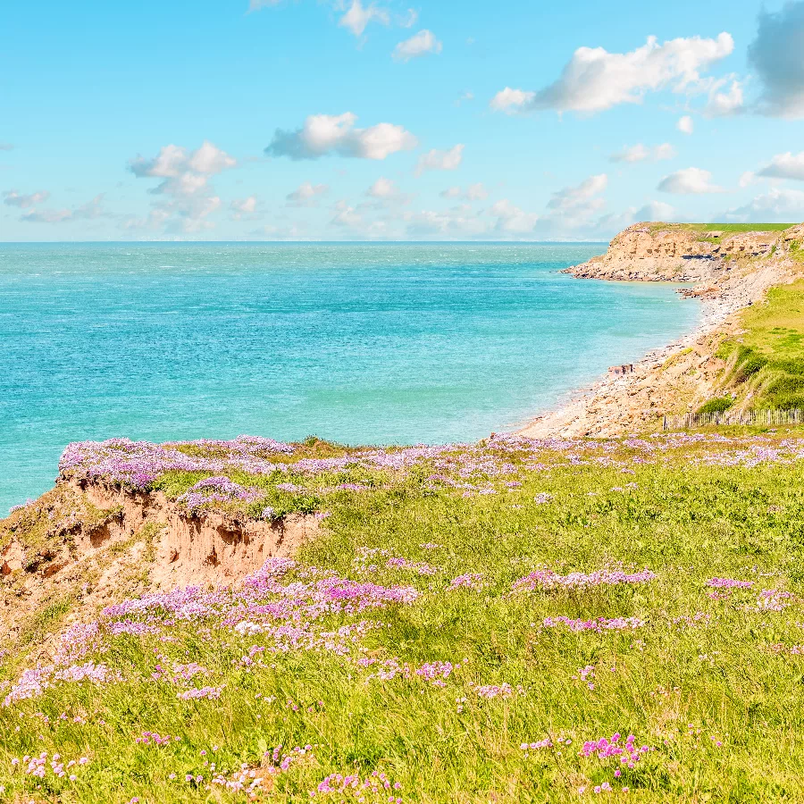 LA BAIE DE SOMME & LA CÔTE D’OPALE