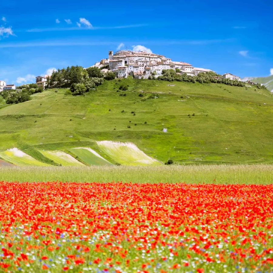 L’Infiorata à Spello & la spectaculaire Floraison dans le parc naturel du Piano Grande
