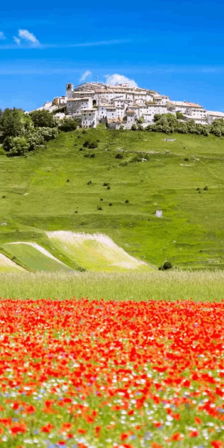 L’Infiorata à Spello & la spectaculaire Floraison dans le parc naturel du Piano Grande