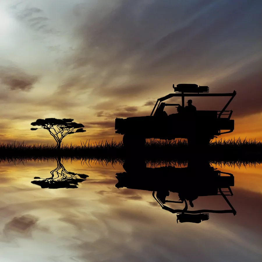 DECOUVERTES SUD-AFRICAINES