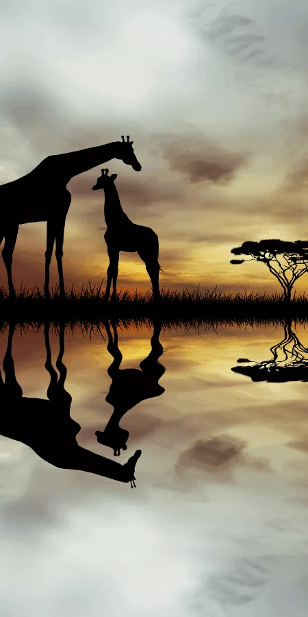 DECOUVERTES SUD-AFRICAINES