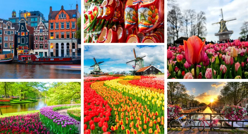 Croisière des Tulipes