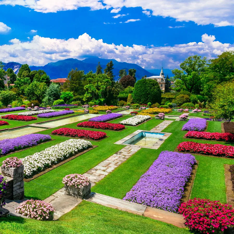 Fête des Camélias à Locarno