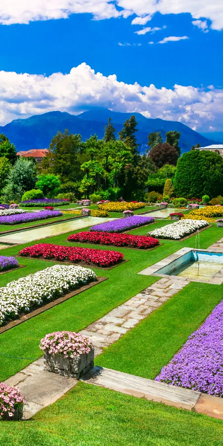 Fête des Camélias à Locarno