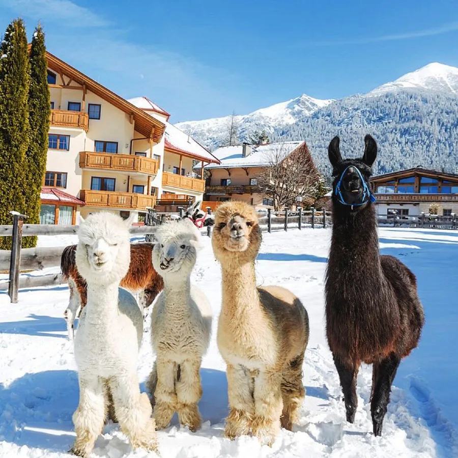 Traditions du Tyrol enneigé