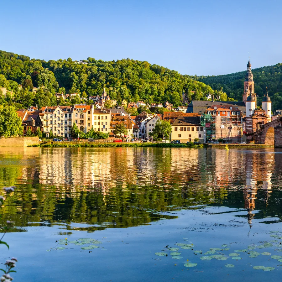 Croisière sur le Rhin romantique                                                             