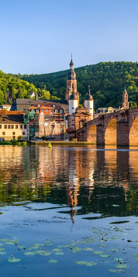 Croisière sur le Rhin romantique                                                             