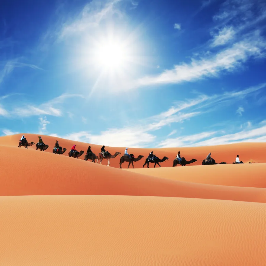Merveilles du sud Marocain