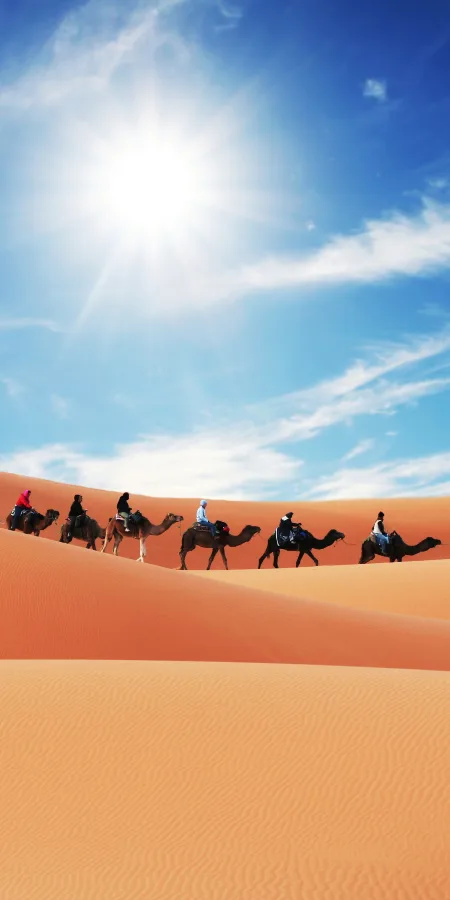 Merveilles du sud Marocain