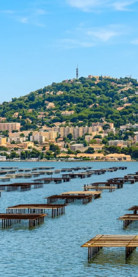 Pâques au fil de l'eau, Sète et l'Etang de Thau 