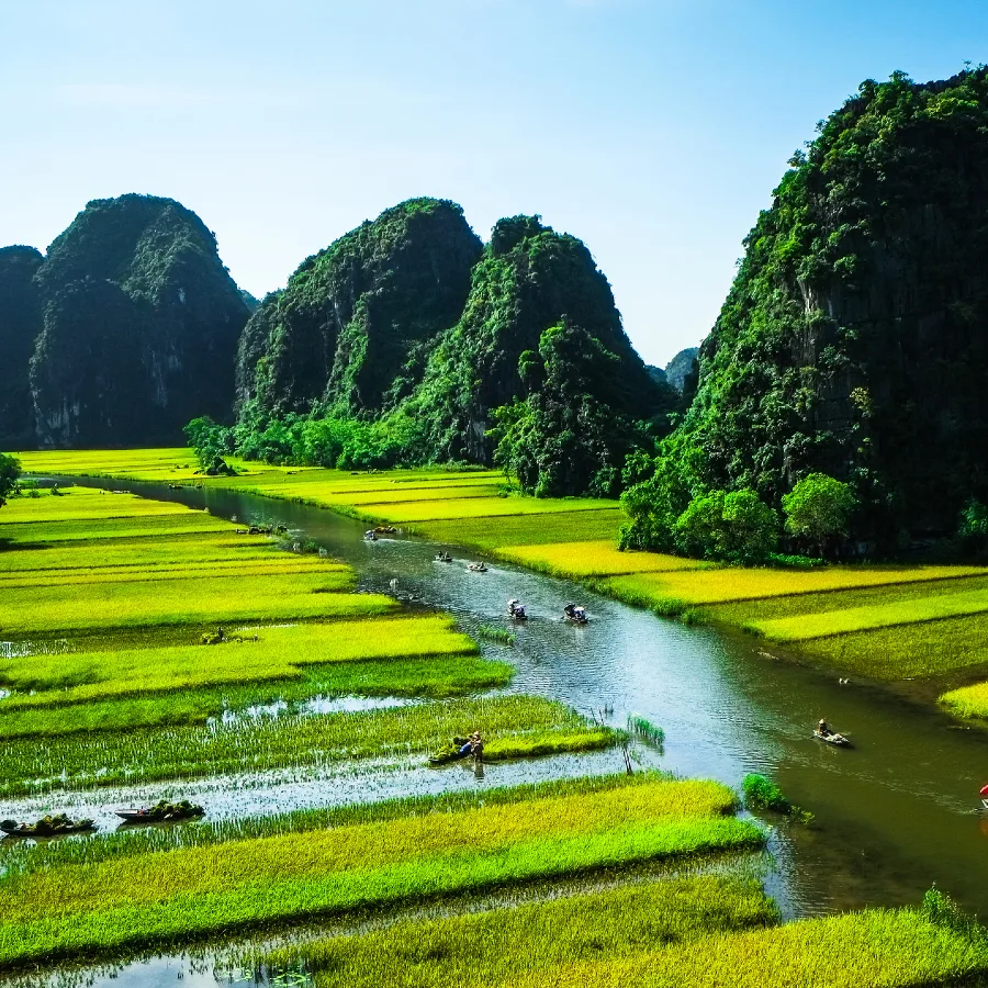  VIETNAM