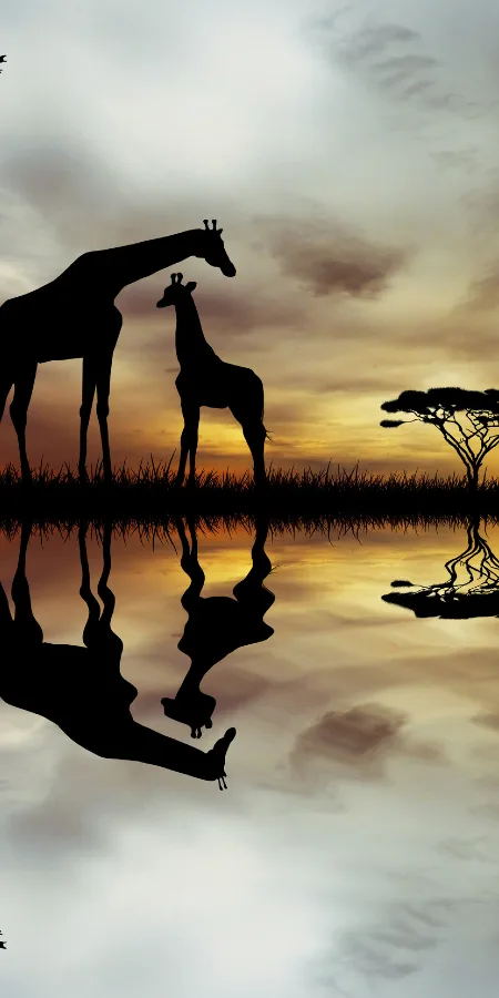 DECOUVERTES SUD-AFRICAINES